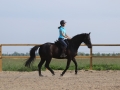 canter_0044