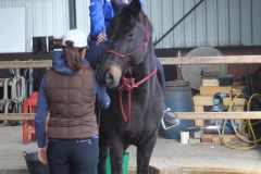 Group lessons at Riverland Horse Farm